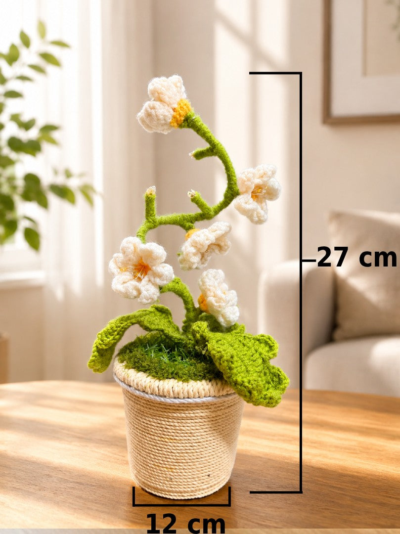 Crochet Plant Lamp