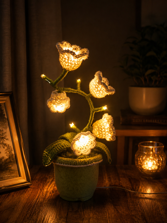 Crochet Plant Lamp